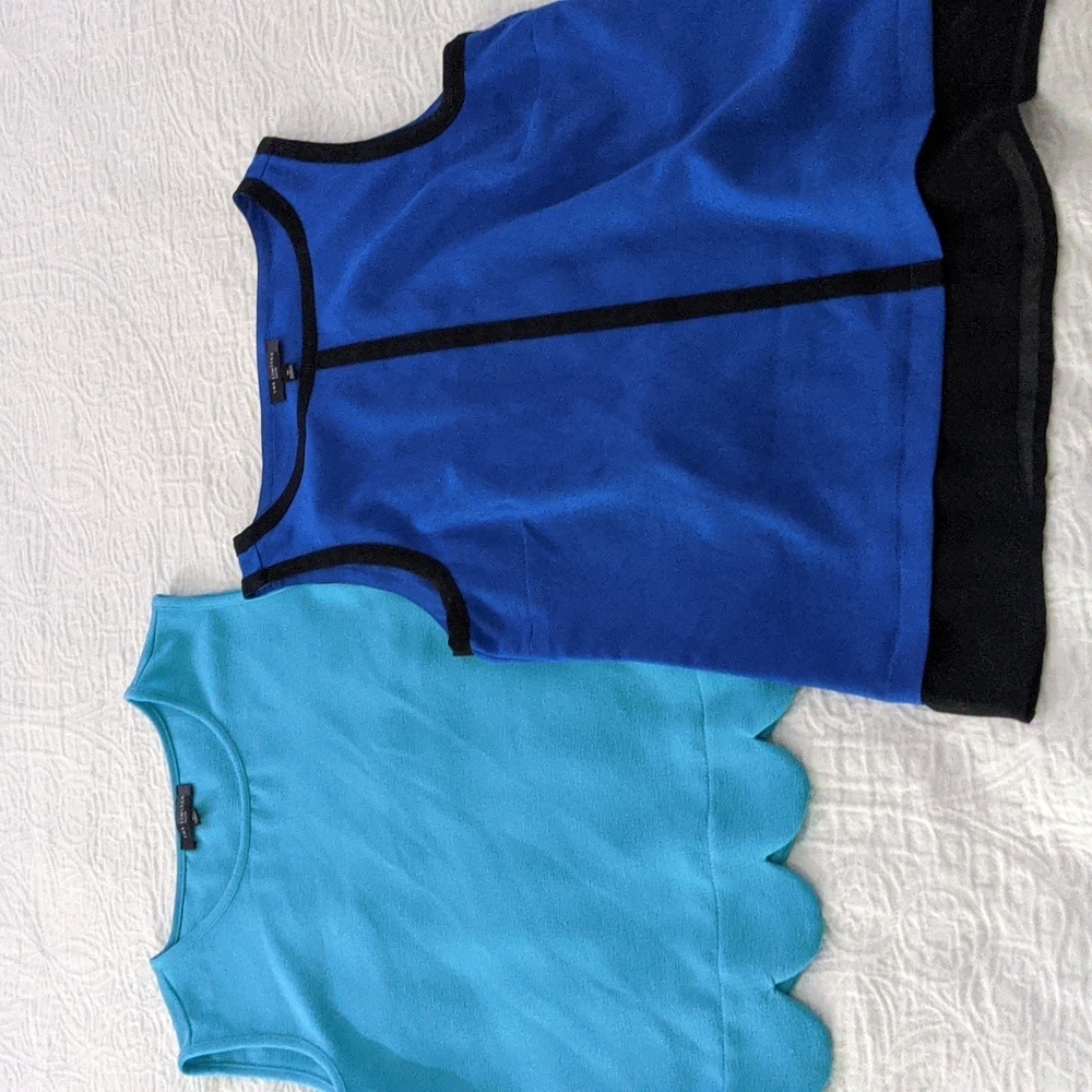 Two blouses from The Limited xs